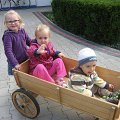 IMG_0158 (Copy)